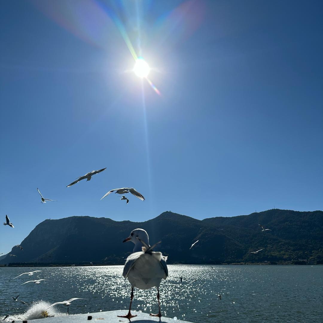 马上和我谈恋爱