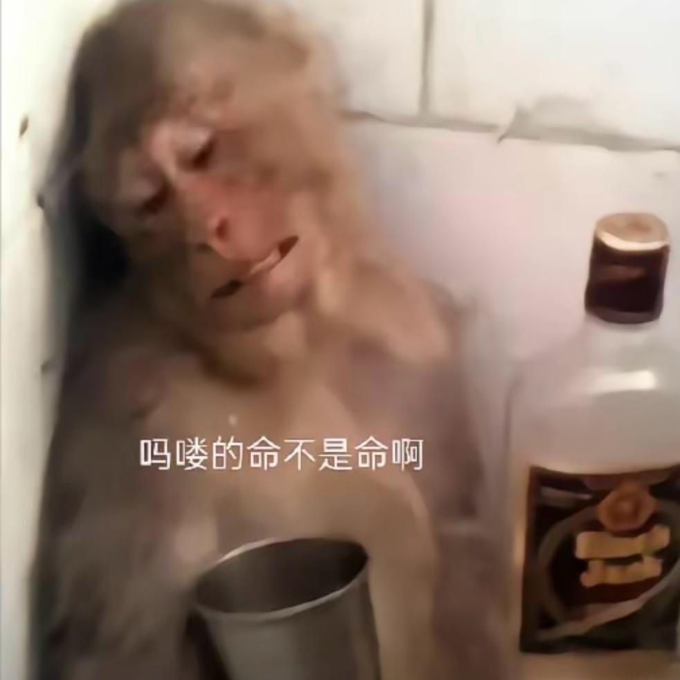 猴哥励志语录