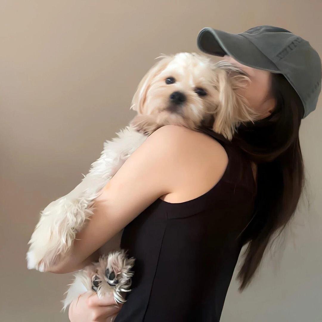 芝士榴莲（自律版）