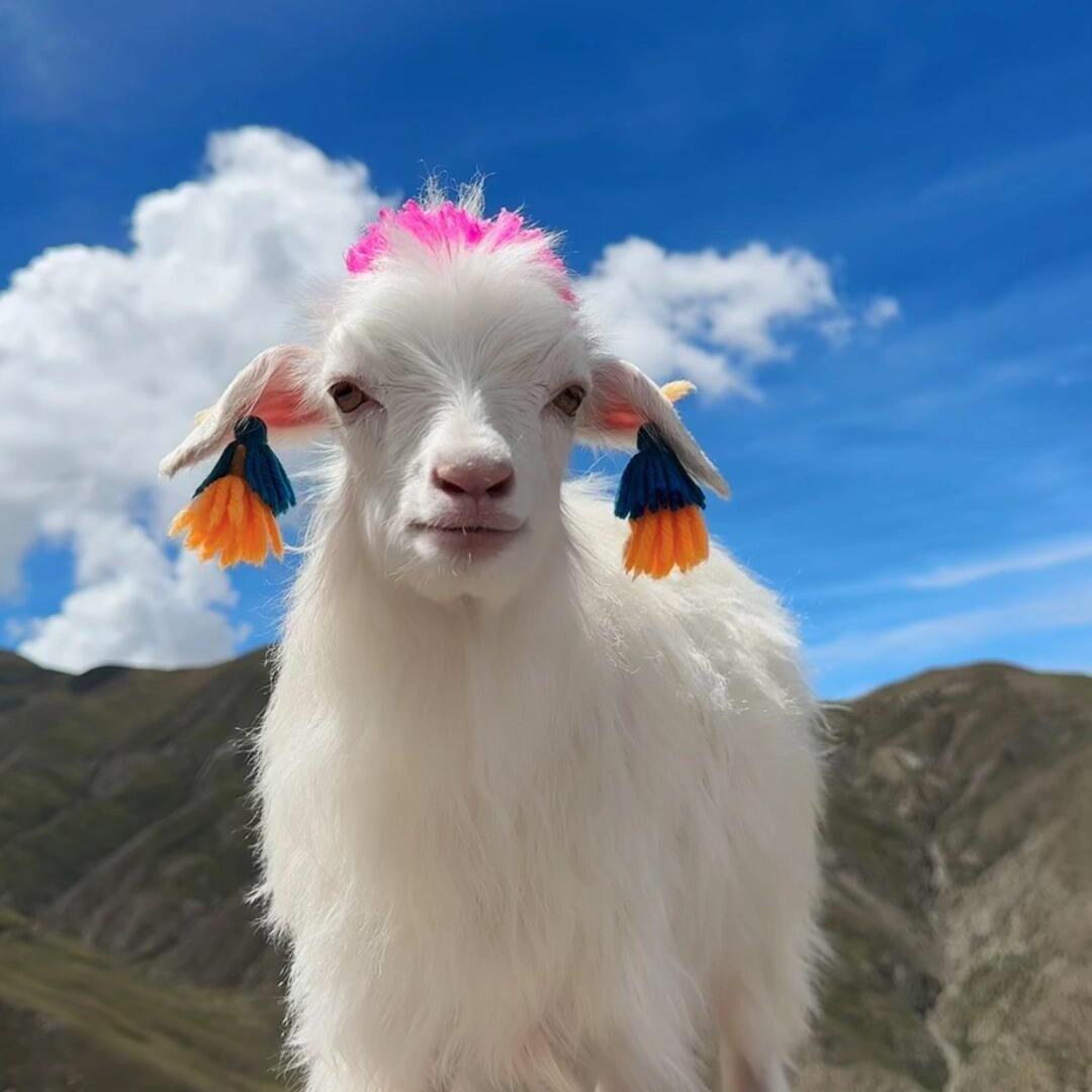 小言旅行