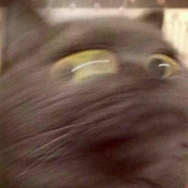 大猪蹄子.
