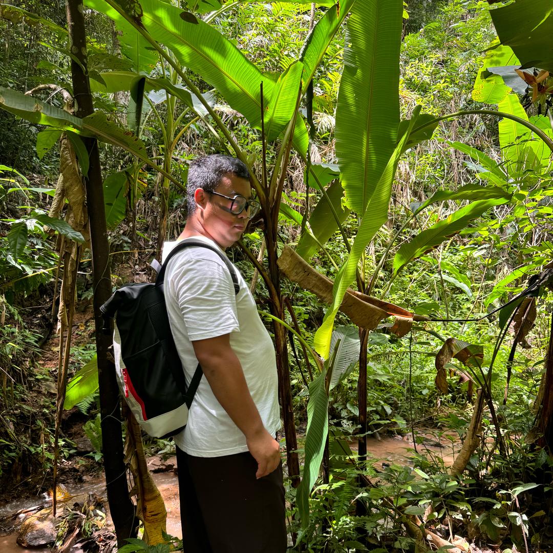 昨日像那东流水