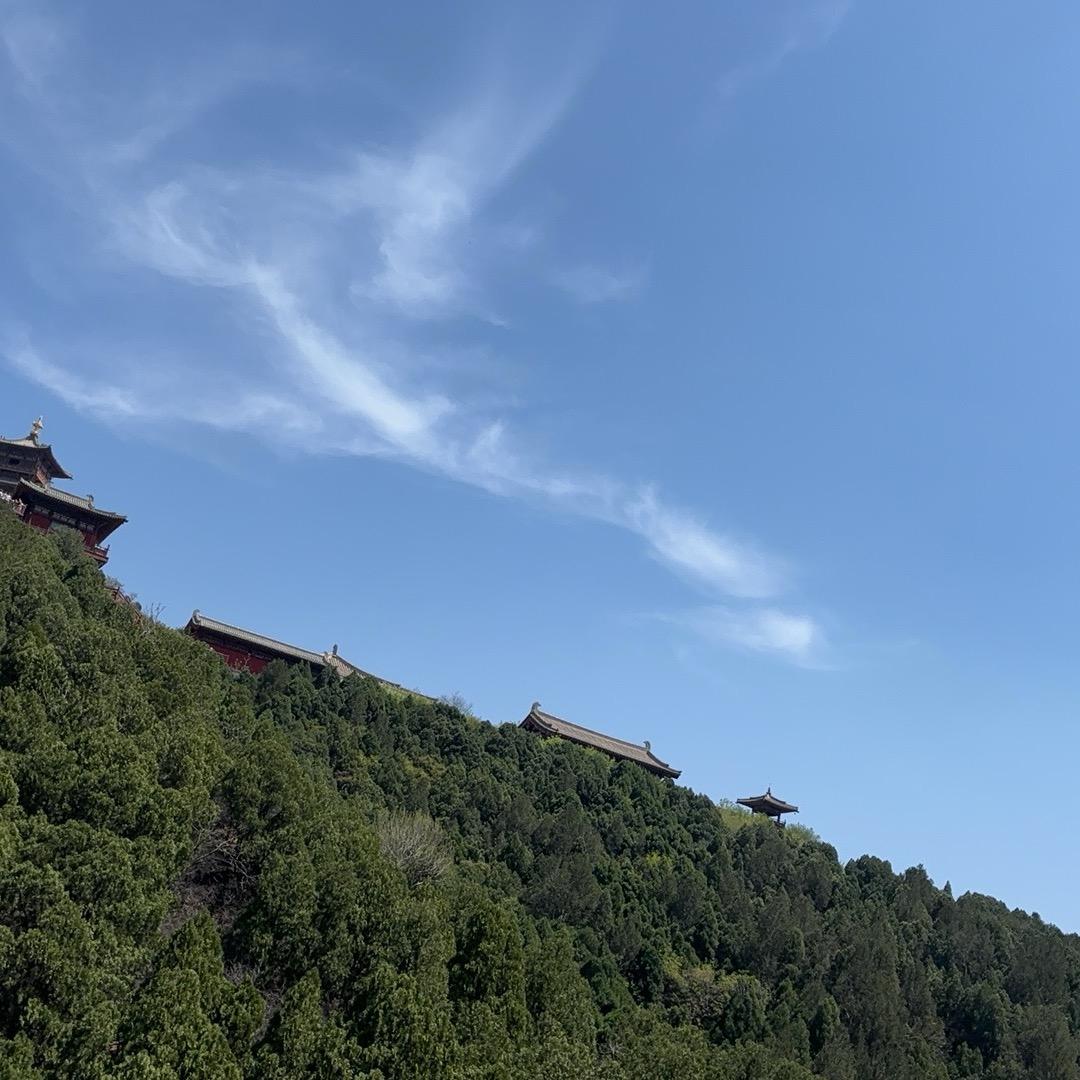 吃个鸭梨