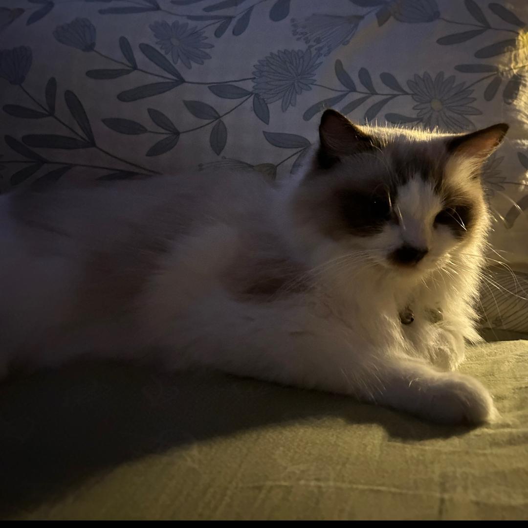 MENALOVER安远梦拉女装