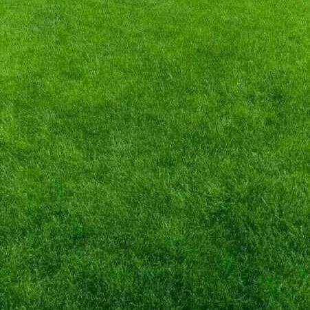 潇 潇