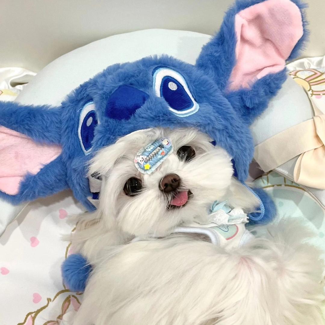柒月🌙