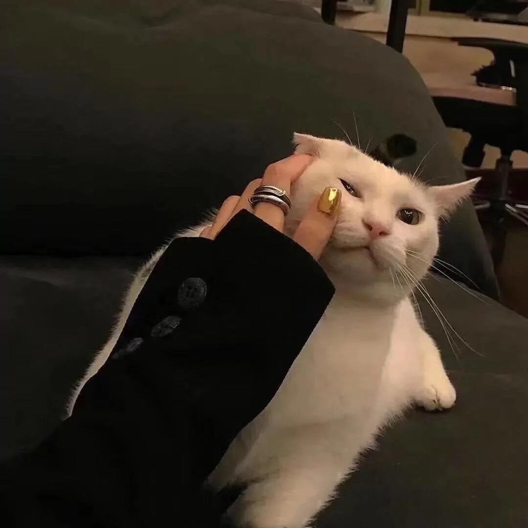 与你同行