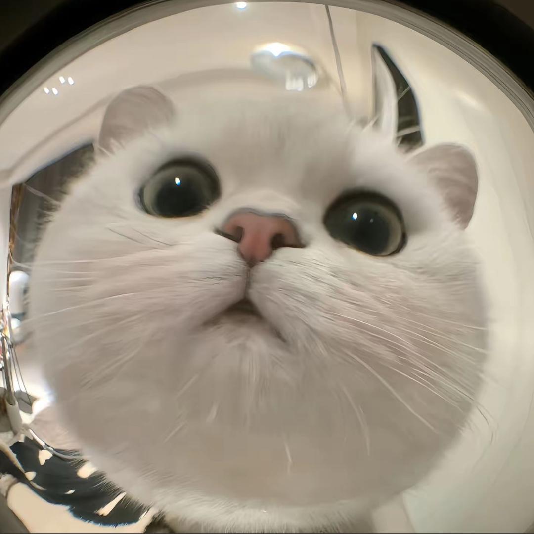 ₍ ..̮ ₎ 近朱者吃⁽ ˙˙̮ ⁾