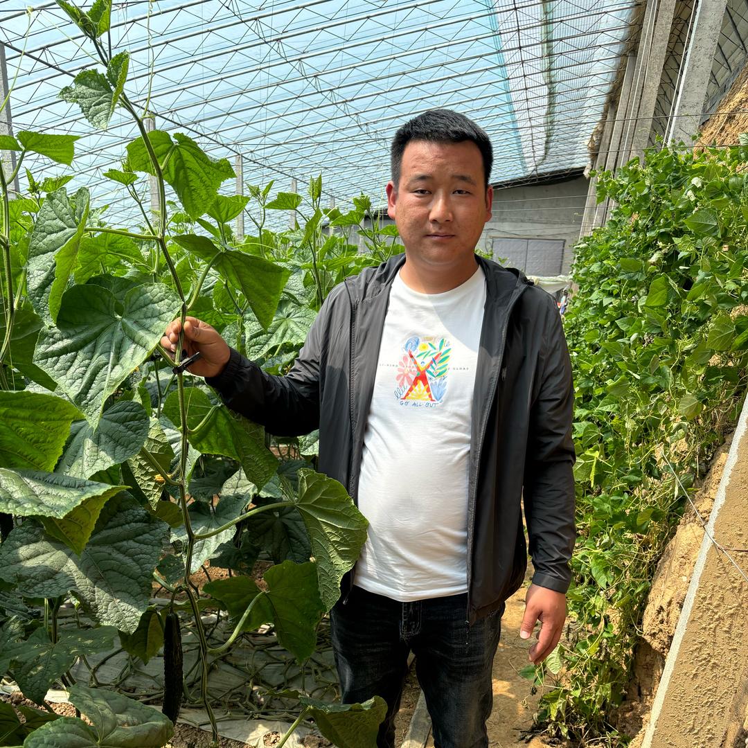 兰陵罗强农资启瑞农业