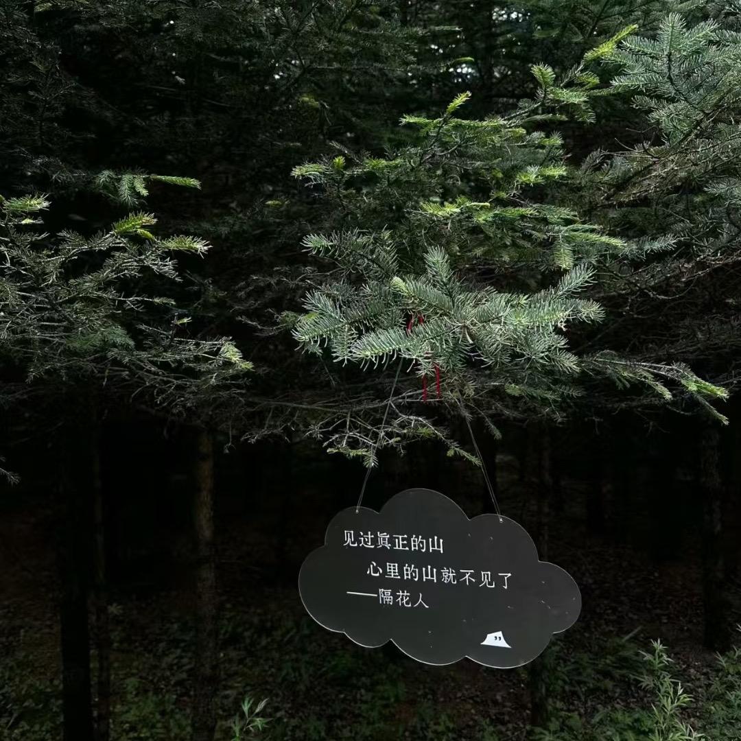 ꩵ小幸运ᐝഒᩚ࿐