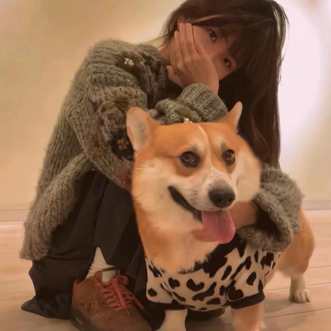 我叫肚脐饼