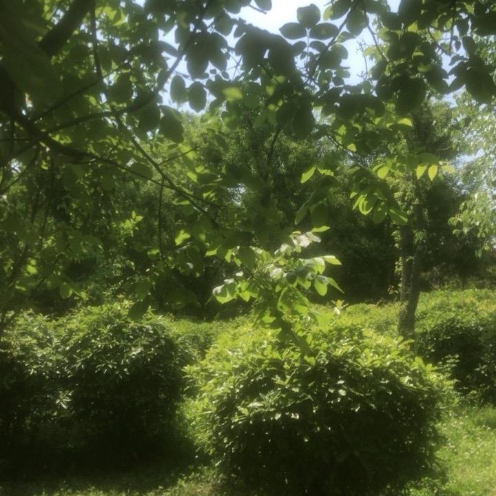 珍惜。