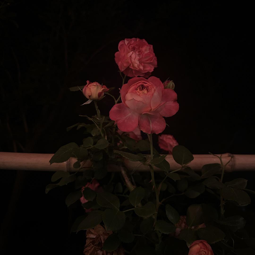 筠妤百货甄选
