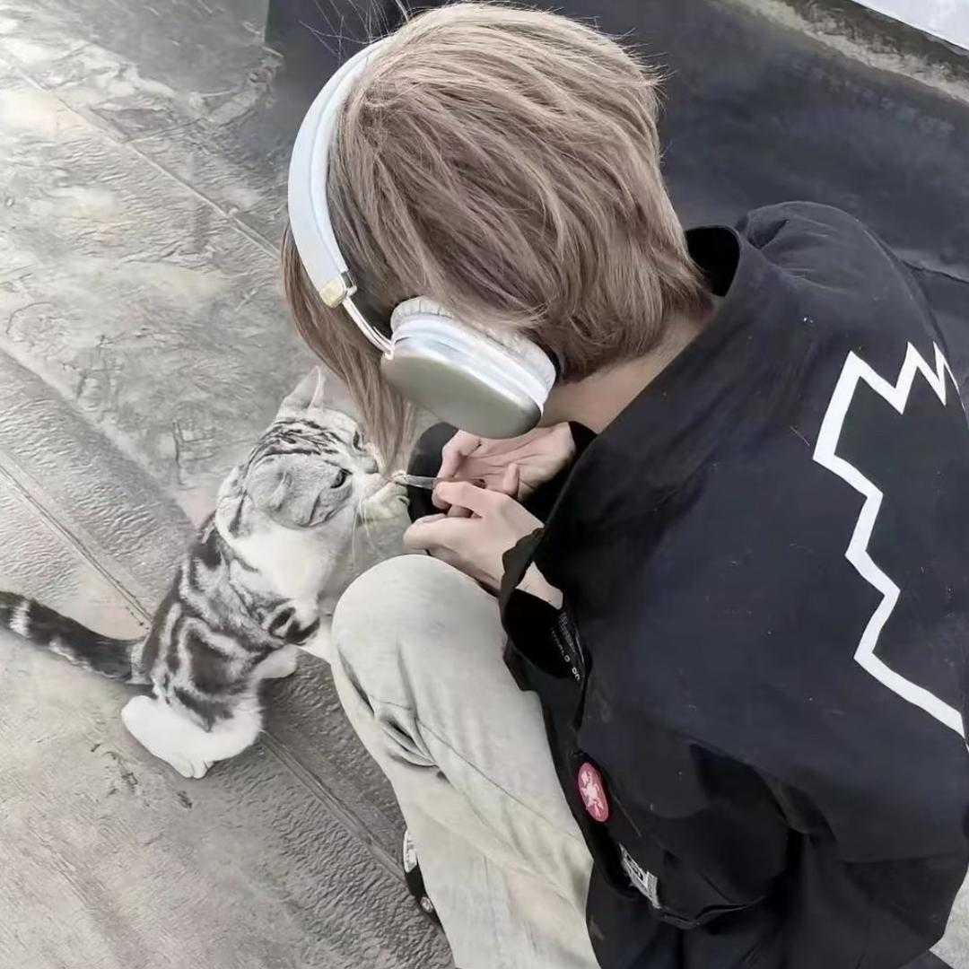 勋勋勋