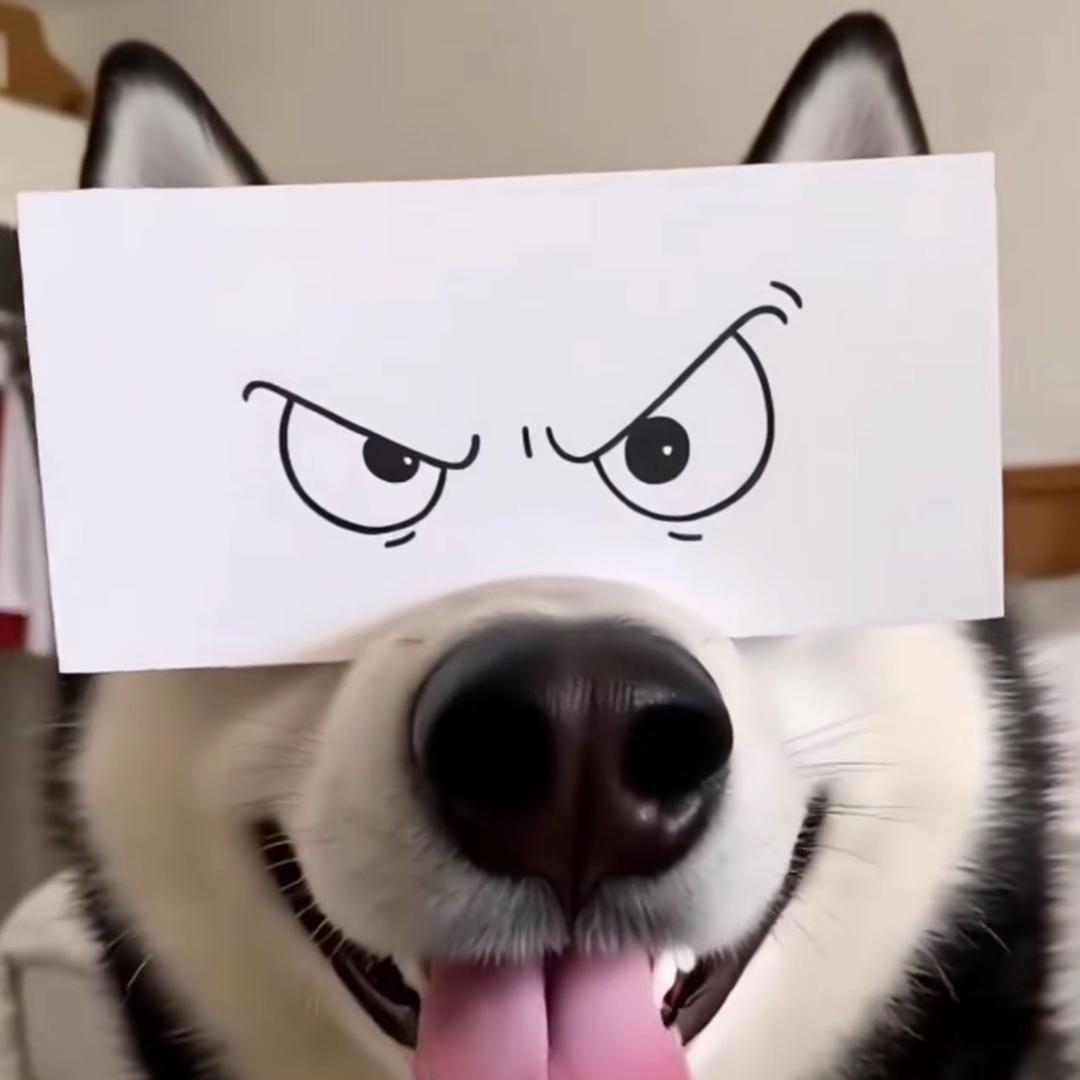 Cannot