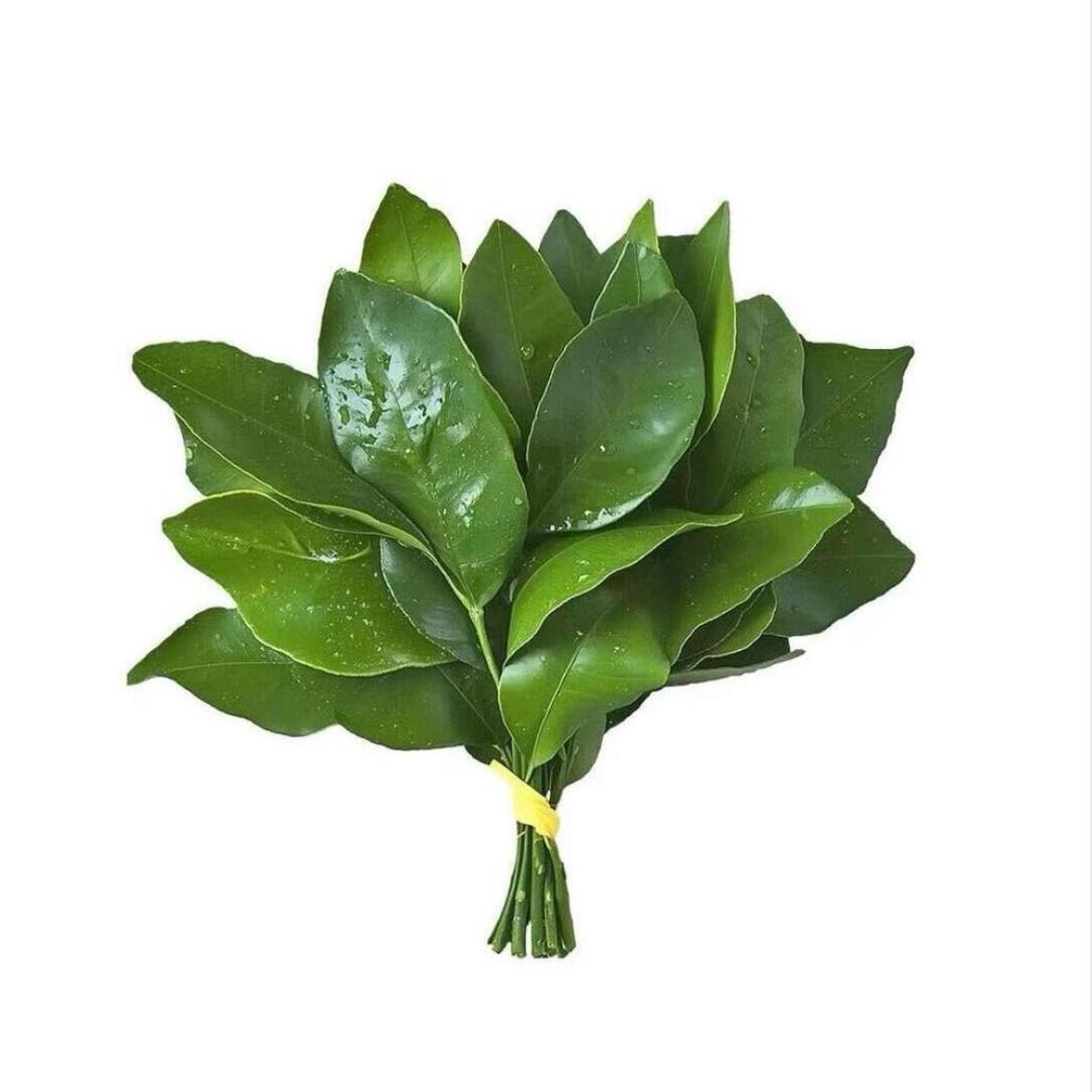 慧