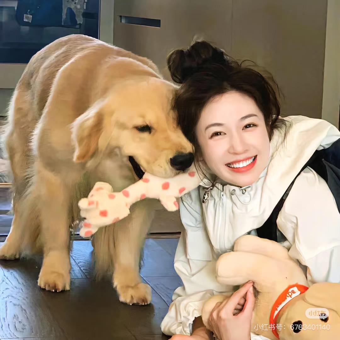 懒蛋子毅