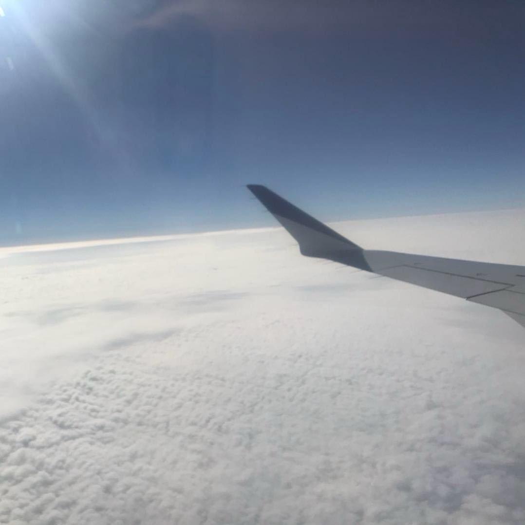 @🌻傅傅要努力工作