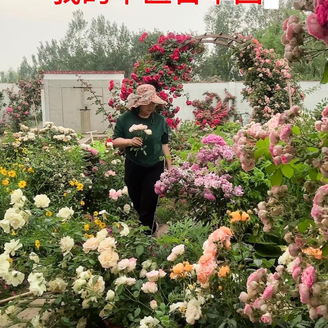 百草园主