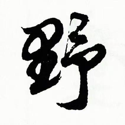 宾阳野人