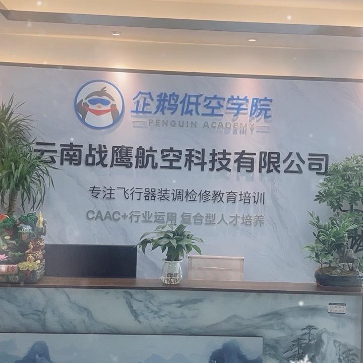 云南战鹰航空科技有限公司