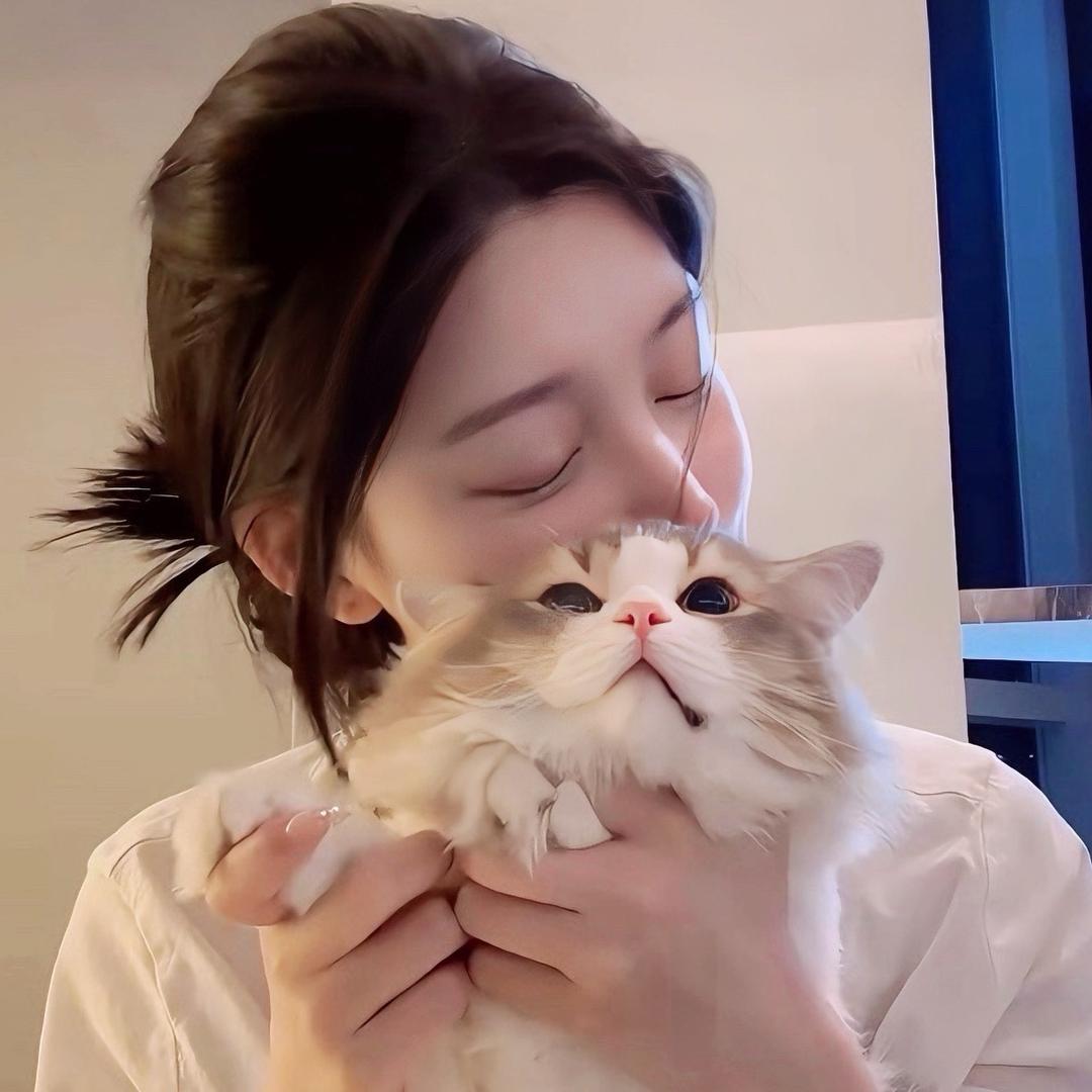 ally只想睡觉