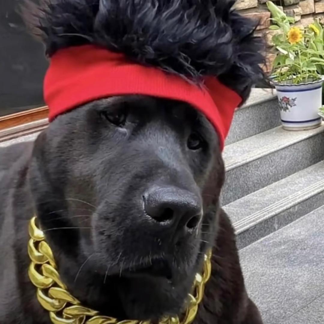 Smalldi