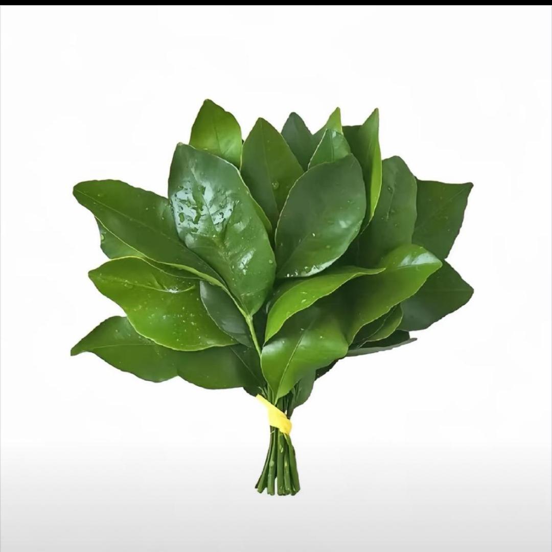 小二贝