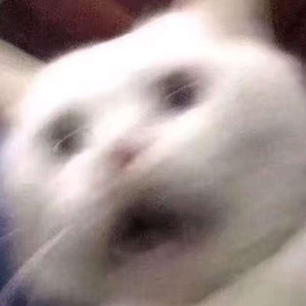 人机桑