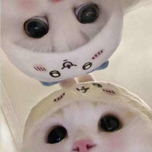 像一只鱼