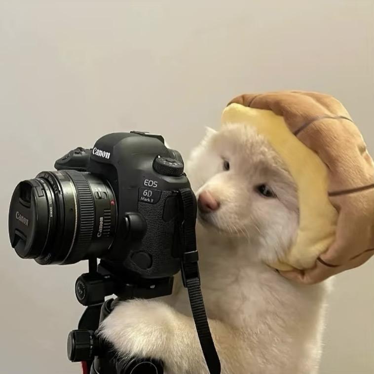 曾一起越过的经纬