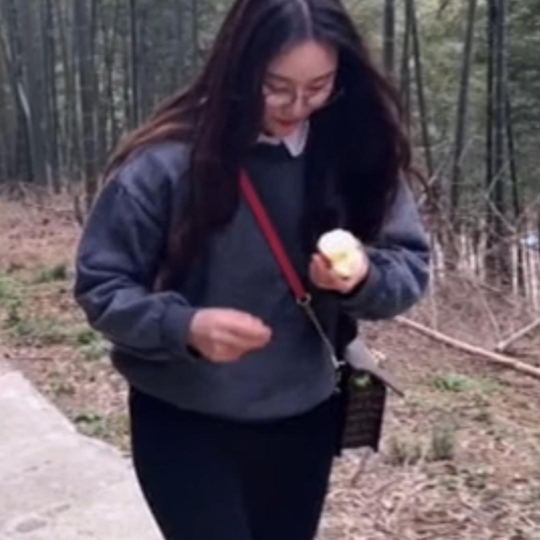 金木木咨询