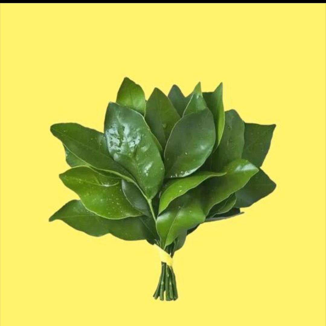 木鱼