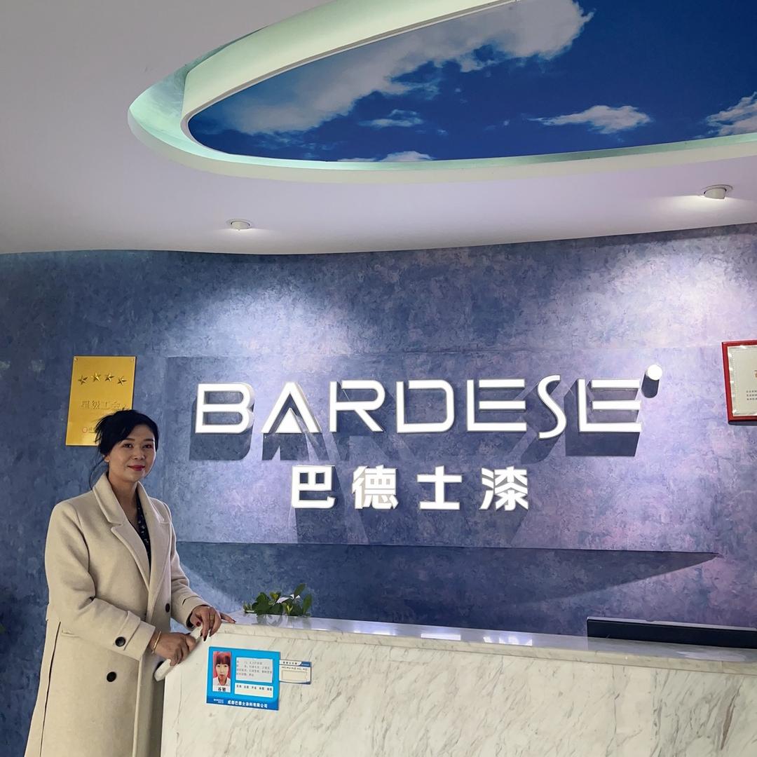 迪那 阿克苏巴德士艺术漆