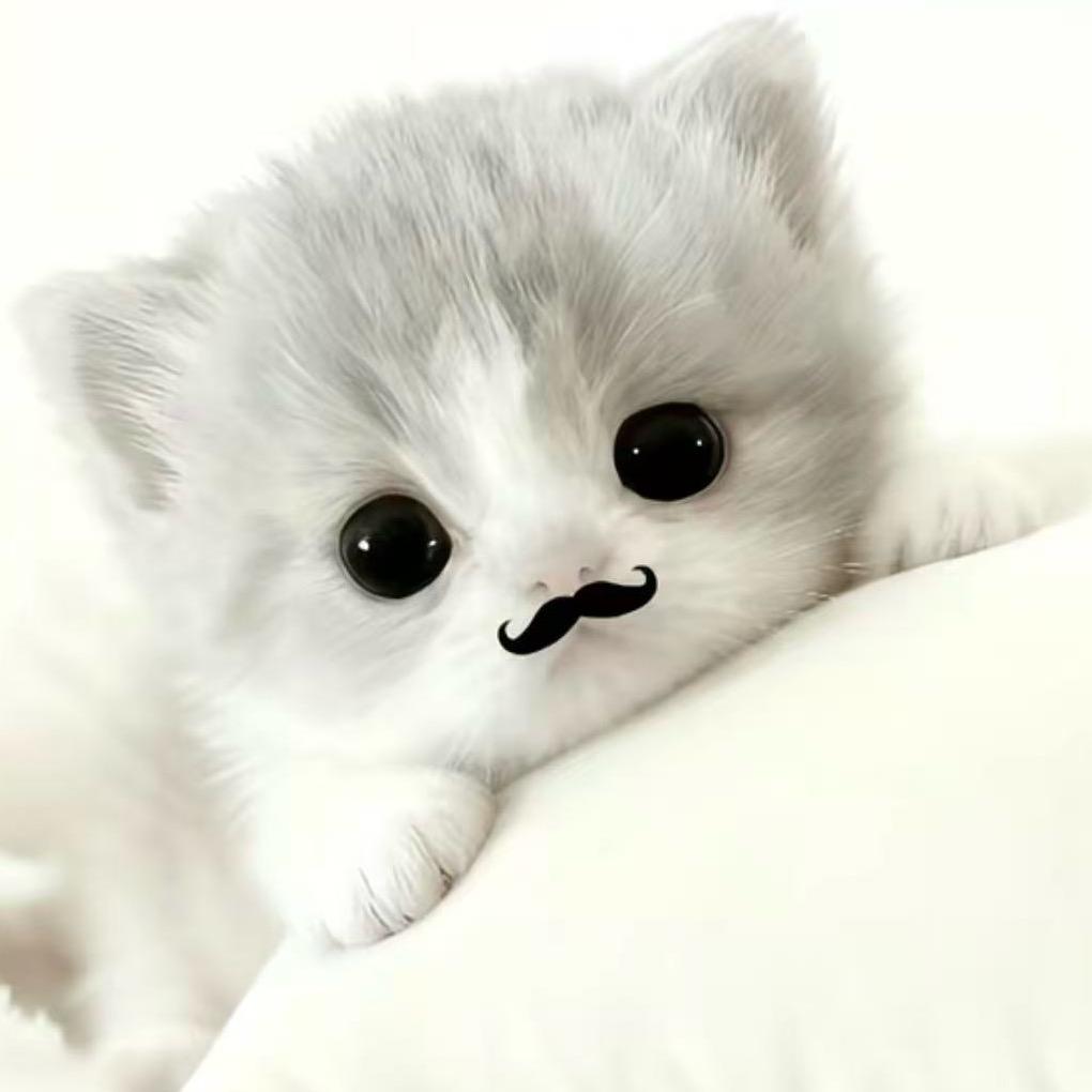 我喜欢吃炸洋芋