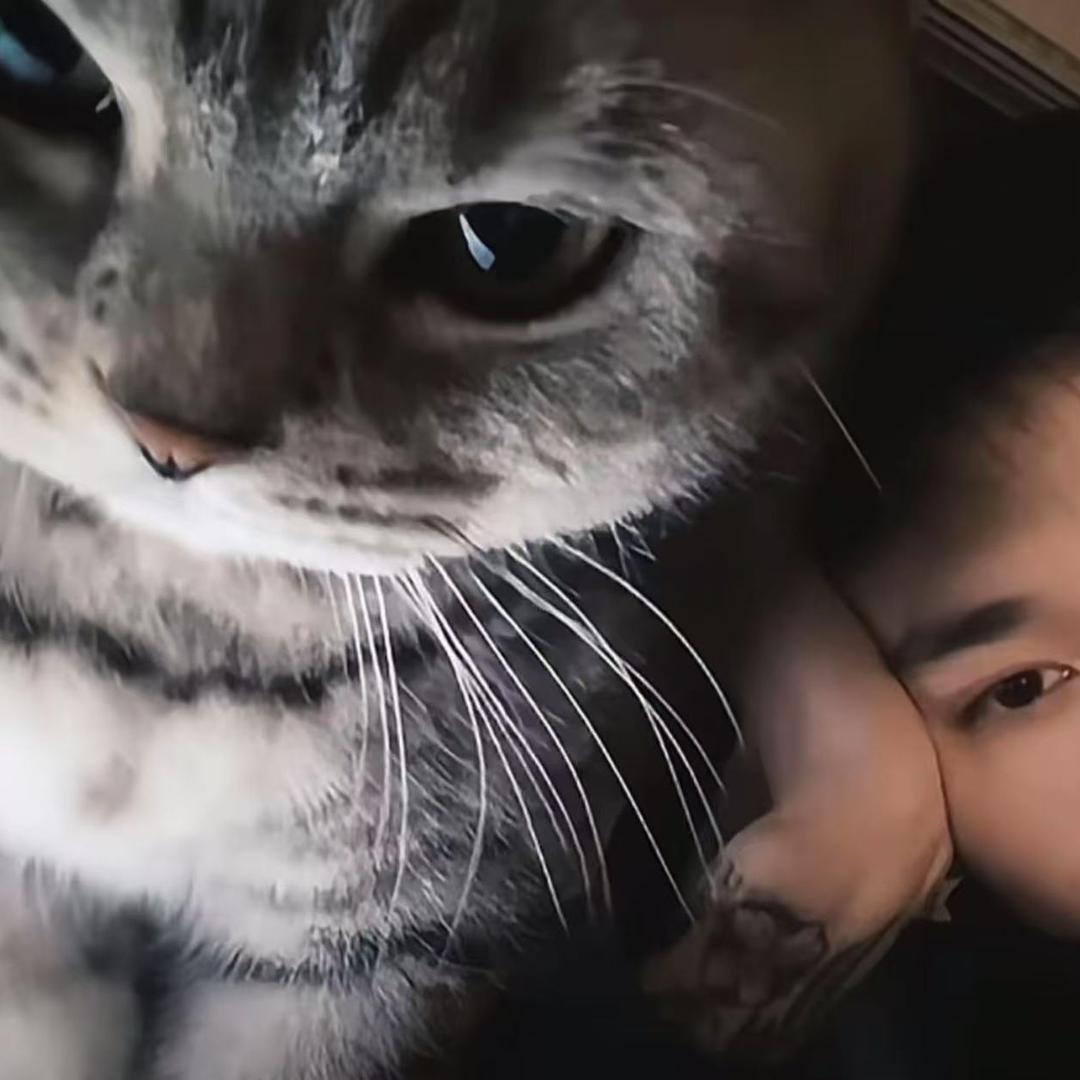 彼岸