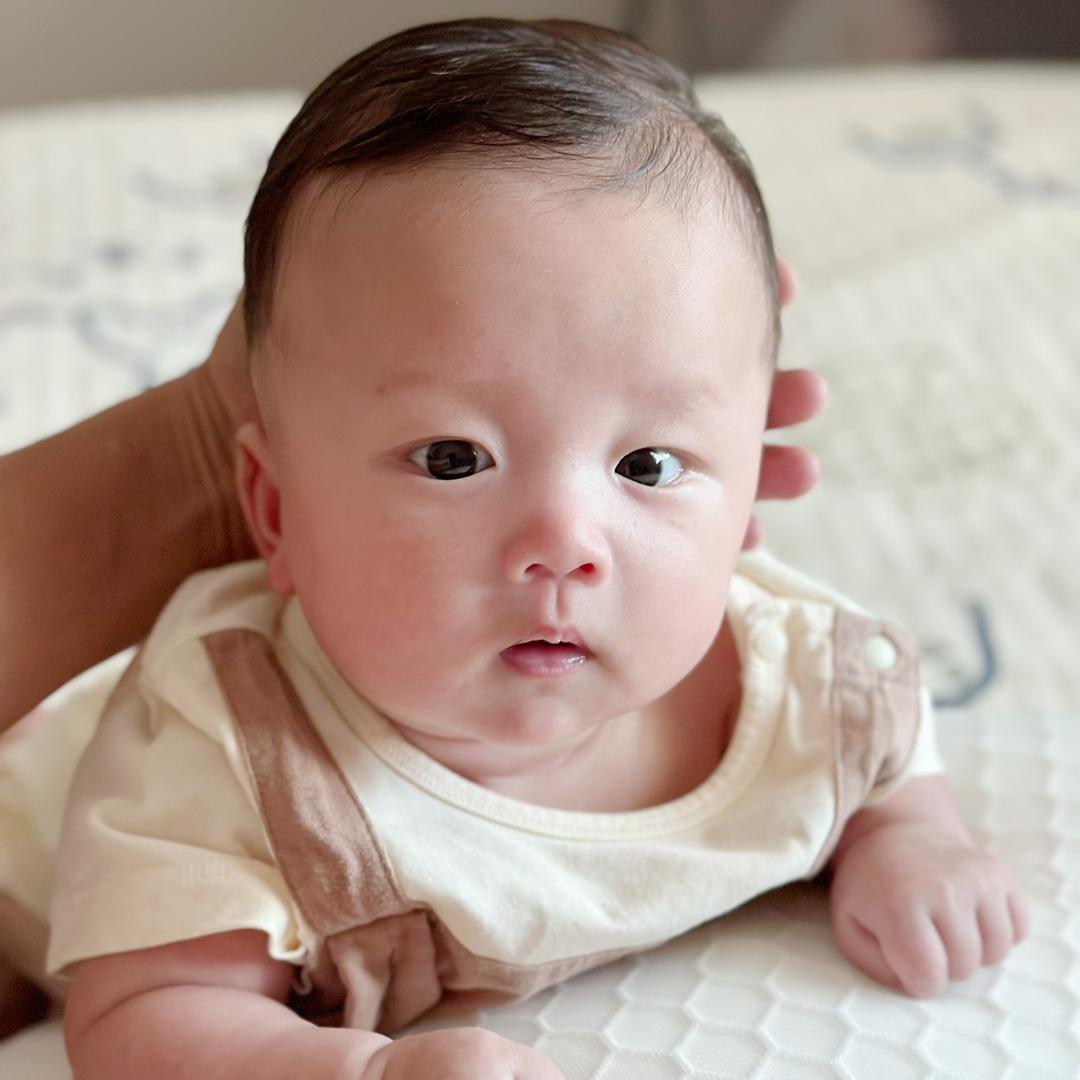 一只小白兔🐰