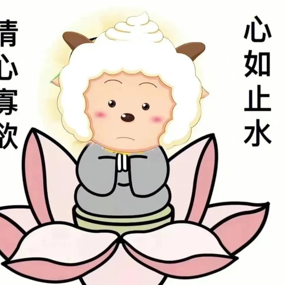 滴滴猪（网约版）