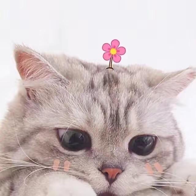 上善若水999
