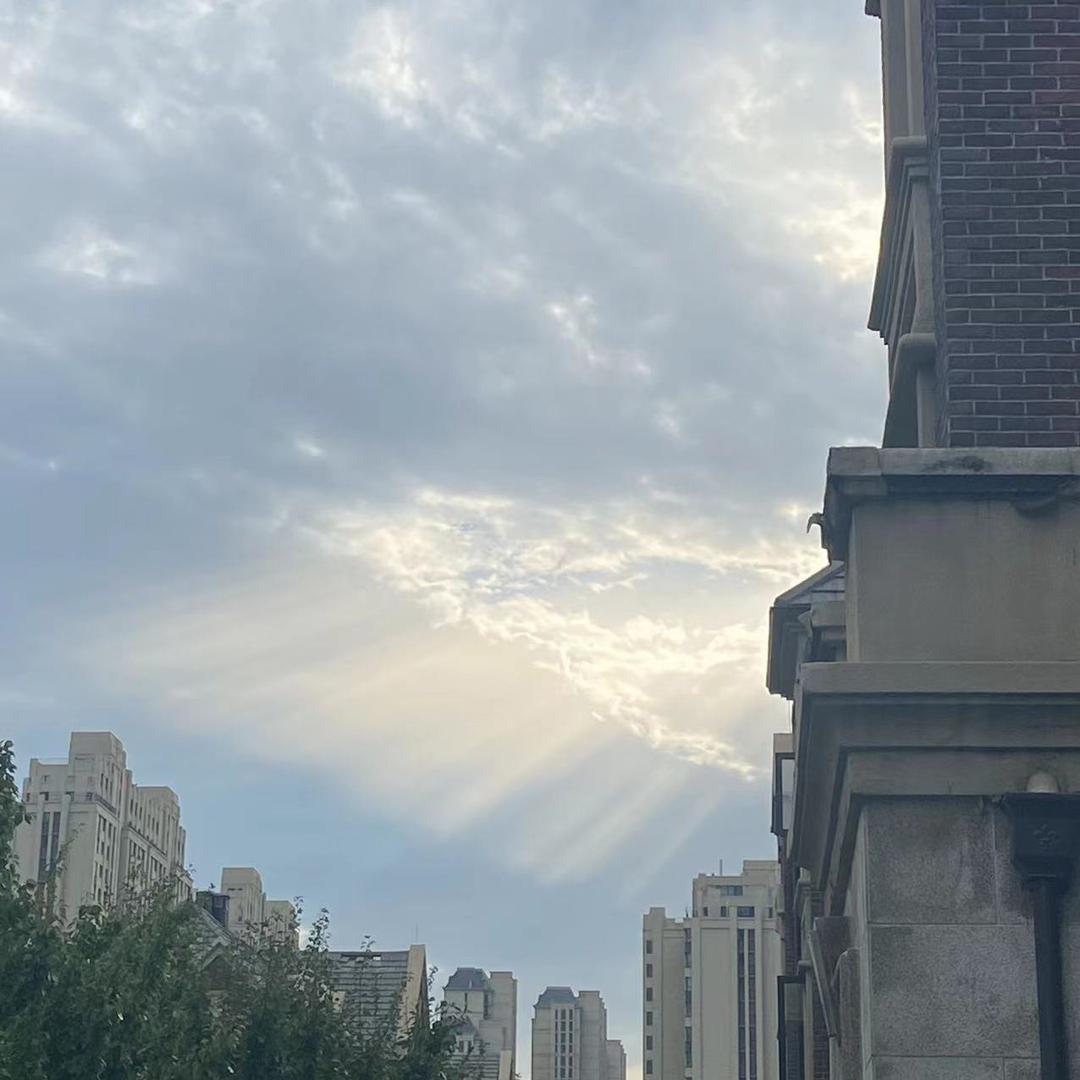 小柚柚