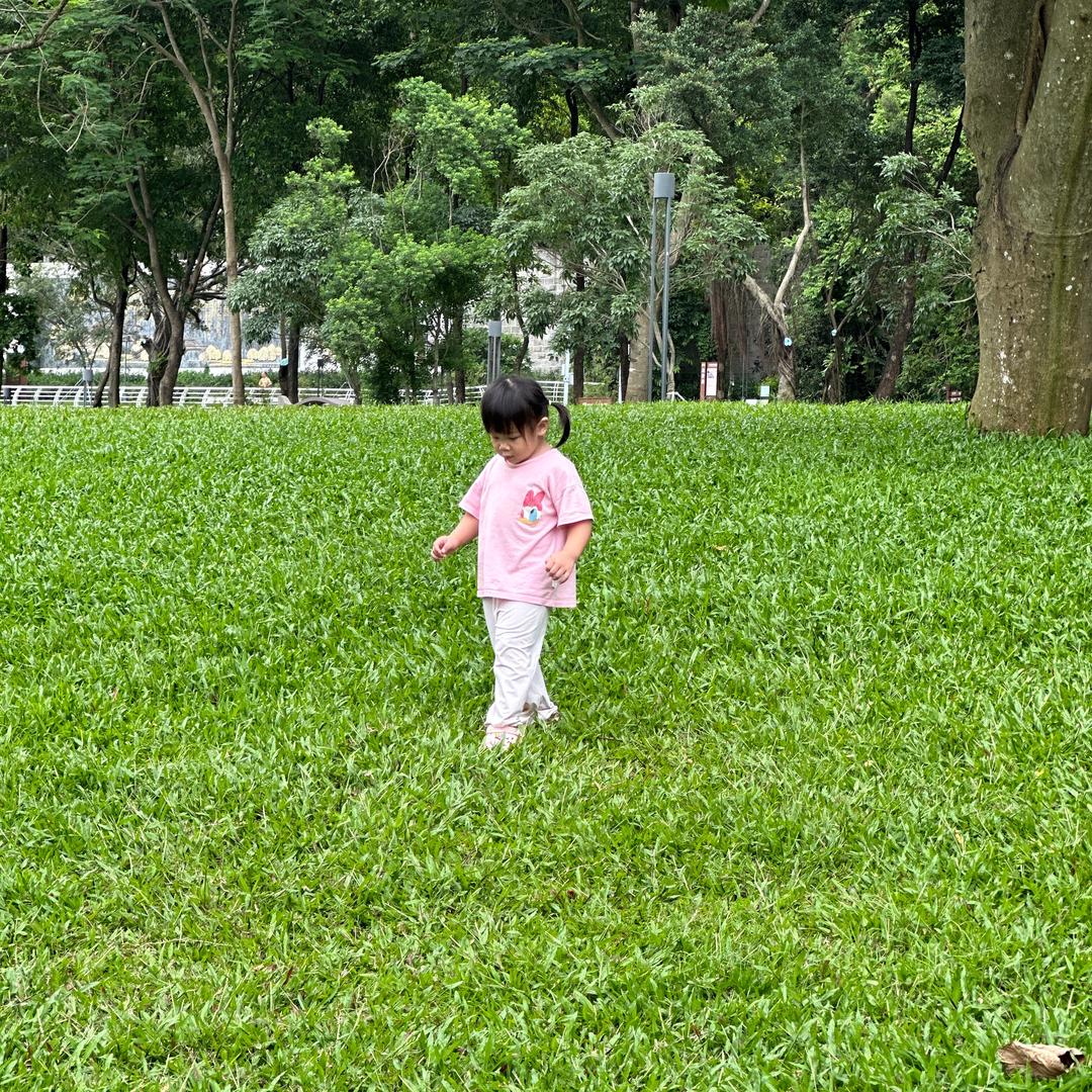 是小不点吖