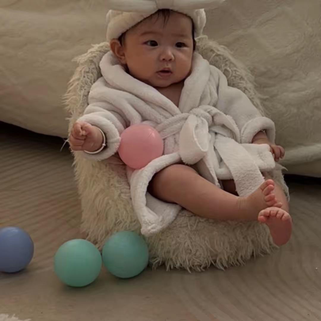 哈啰宠物快车造成狗狗死亡