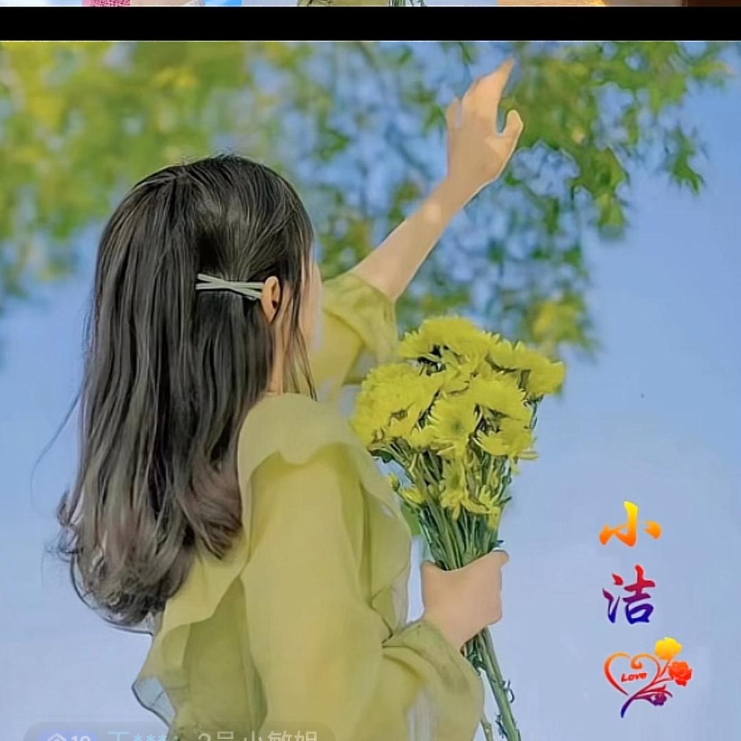 晓洁头像