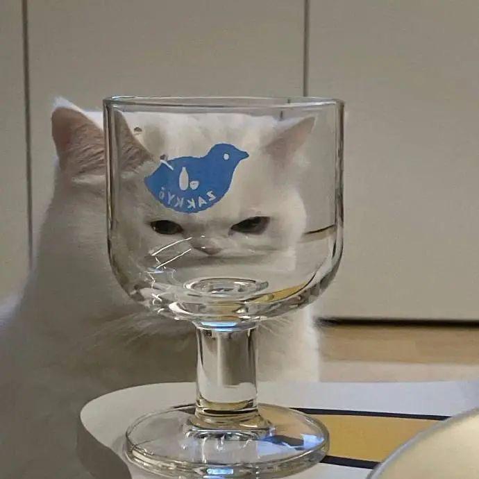 关关