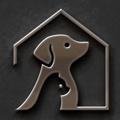 撸猫骑汪的小王