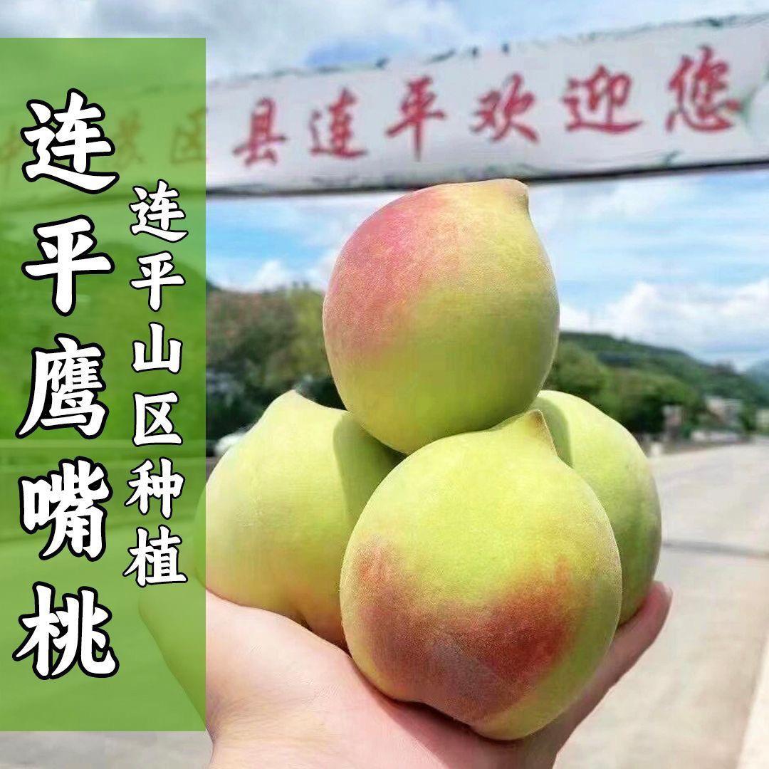 鹰嘴蜜桃谢家桃园