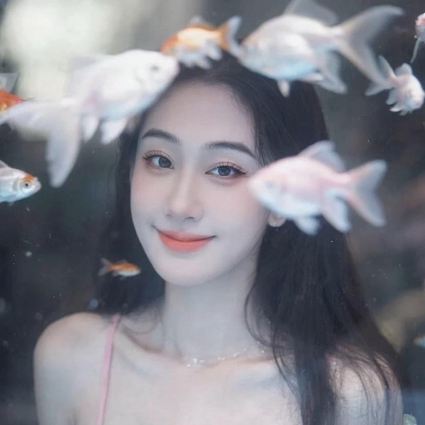 互联网在逃公主