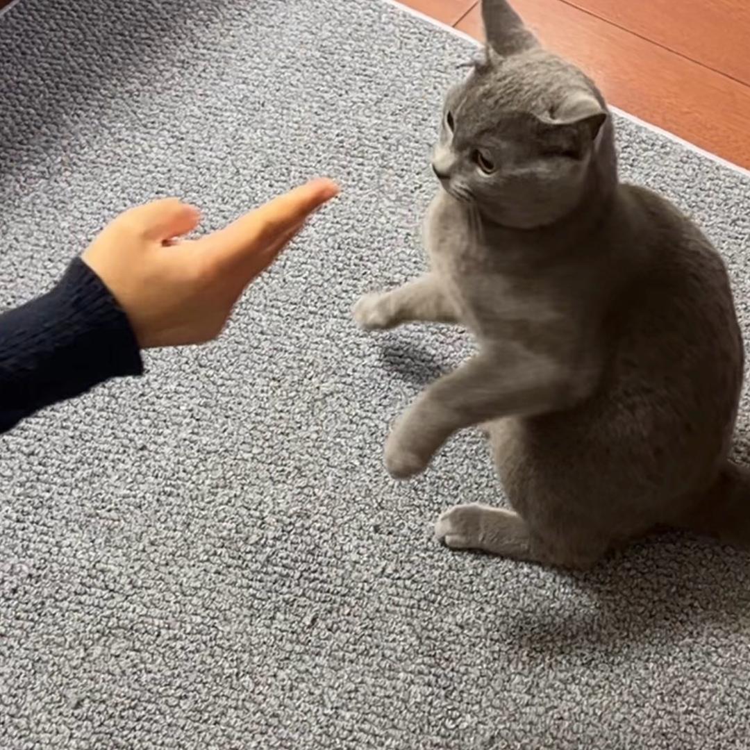 我们家有位嘟教授