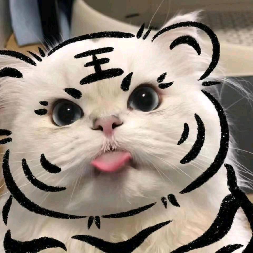 小懒虫