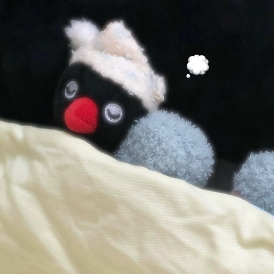 雪梨ii